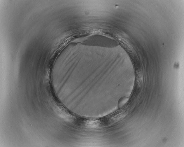 X0000093580410200711051121