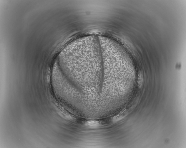 X0000093580413200711051121