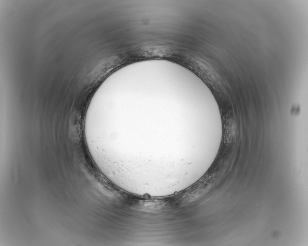 X0000093580414200711051121