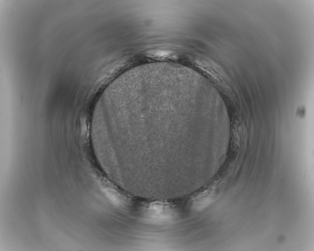 X0000093580420200711051121