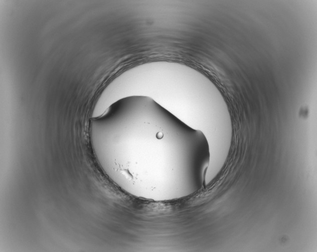 X0000093580421200711051121