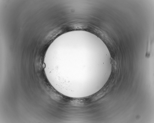 X0000093580422200711051121