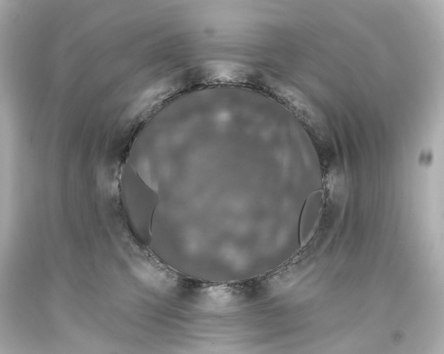 X0000093580423200711051121