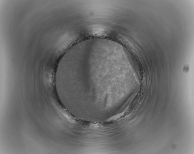 X0000093580424200711051121