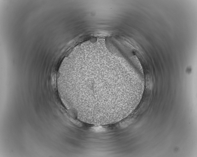 X0000093580425200711051121