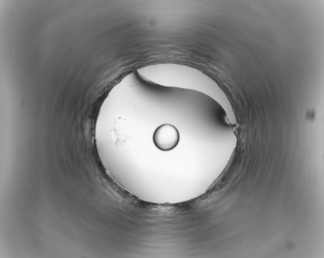 X0000093580428200711051121