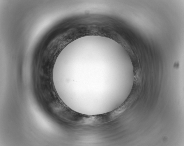 X0000093580430200711051121