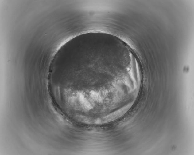 X0000093580434200711051121