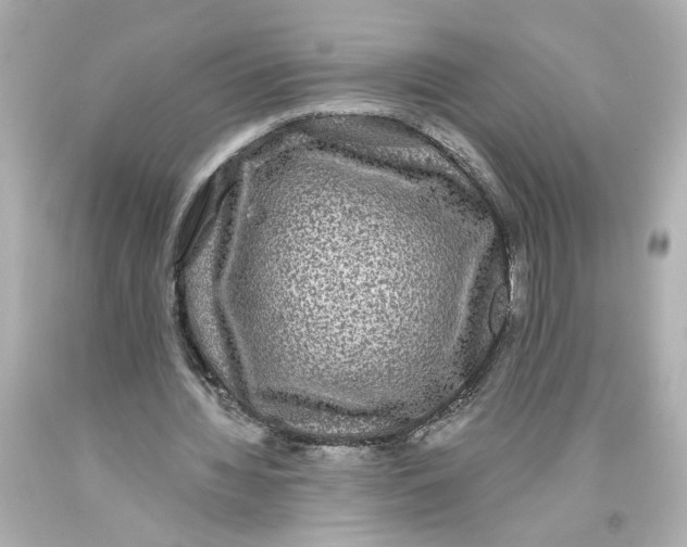 X0000093580436200711051121