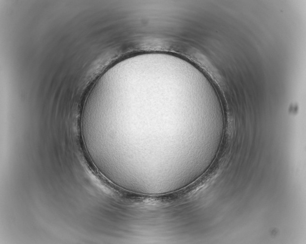 X0000093580441200711051121