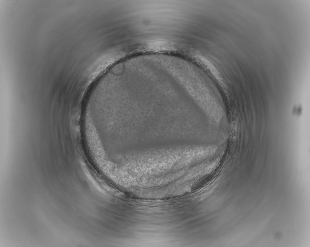 X0000093580443200711051121