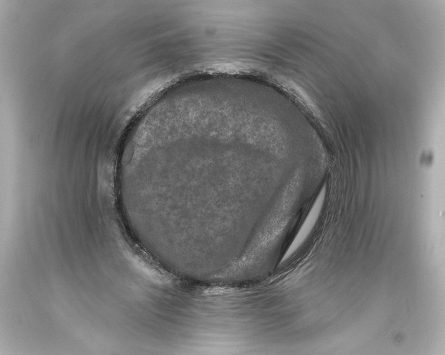 X0000093580444200711051121