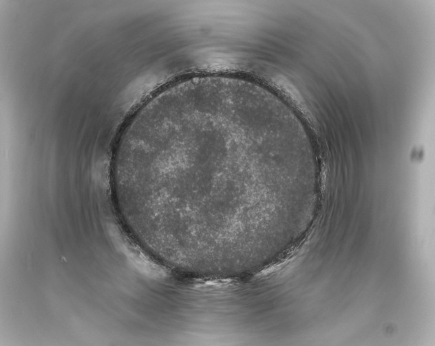 X0000093580447200711051121