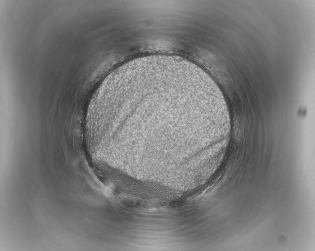 X0000093580449200711051121