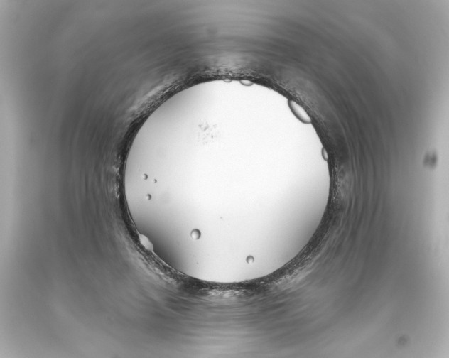 X0000093580450200711051121