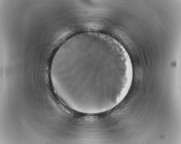 X0000093580451200711051121