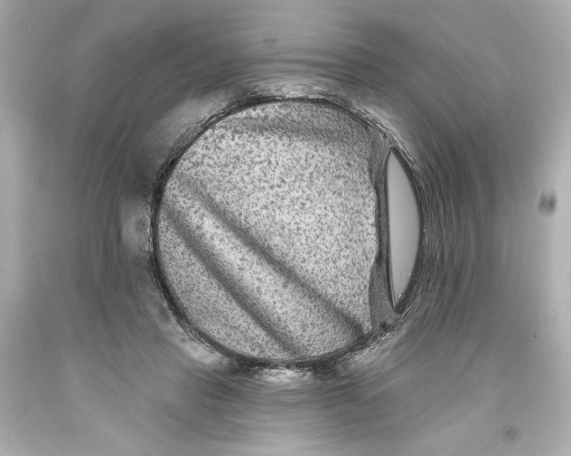 X0000093580453200711051121