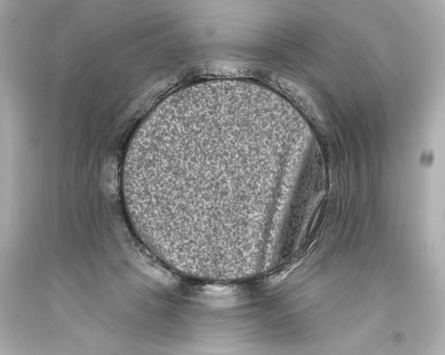 X0000093580457200711051121