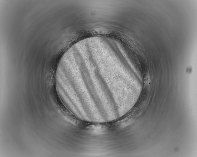 X0000093580464200711051121