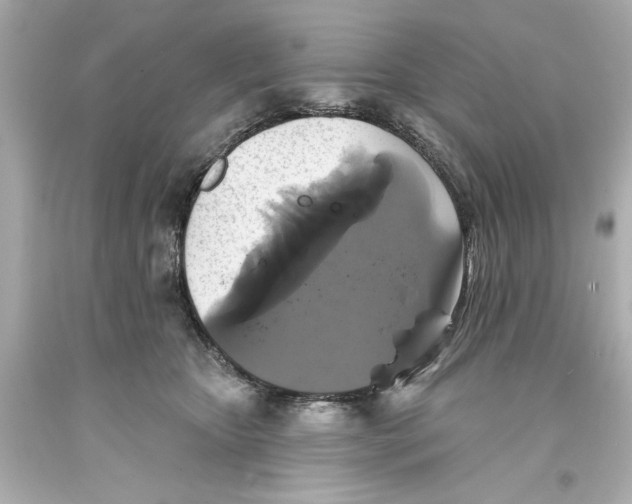 X0000093580467200711051121