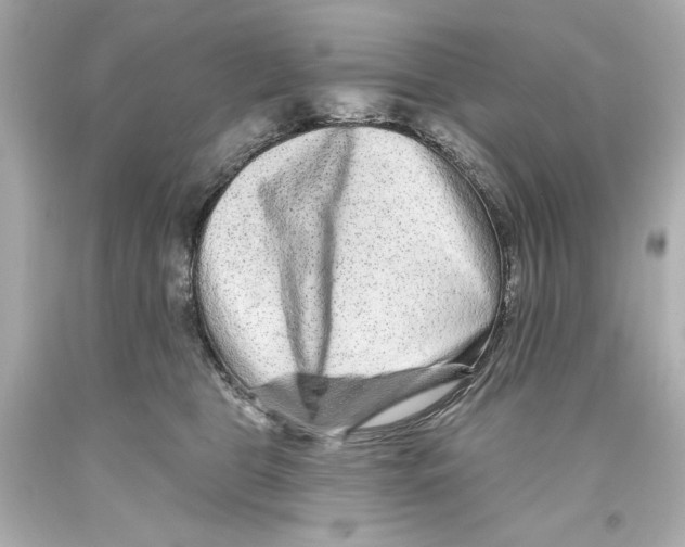 X0000093580469200711051121