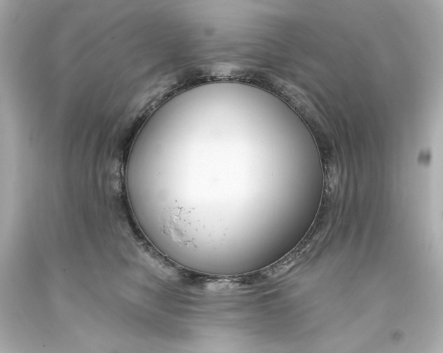 X0000093580470200711051121