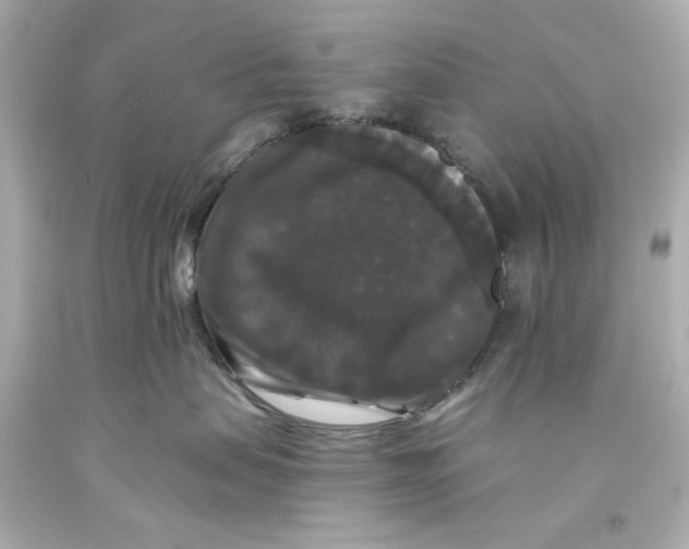 X0000093580479200711051121