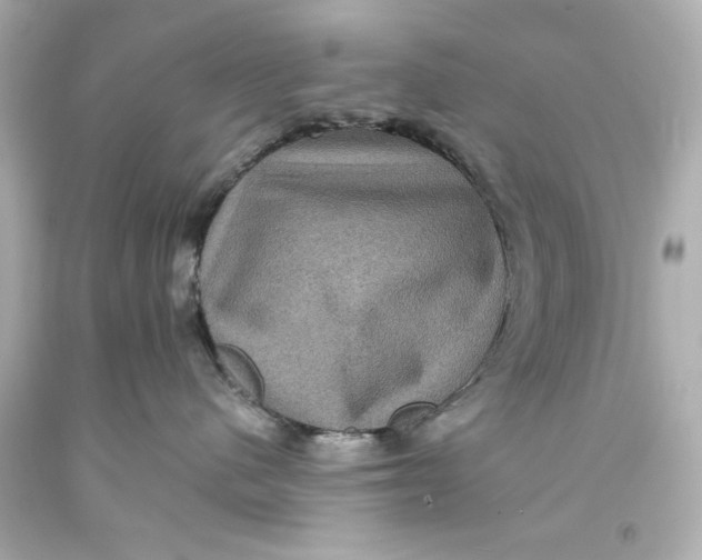 X0000093580480200711051121