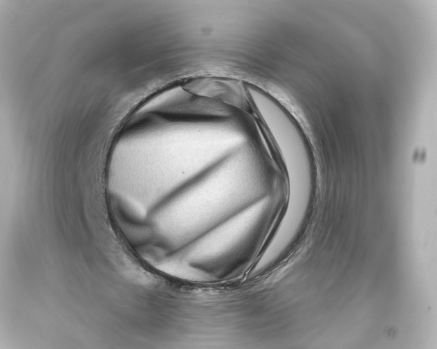 X0000093580481200711051121