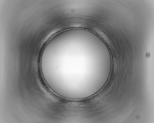 X0000093580482200711051121