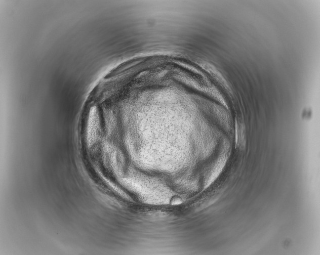 X0000093580483200711051121