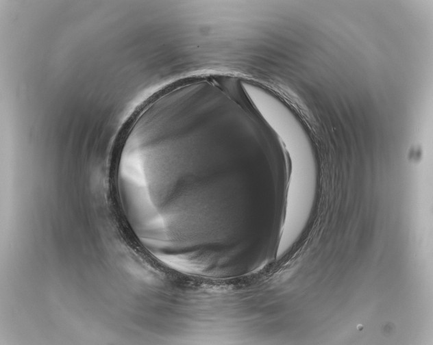 X0000093580484200711051121