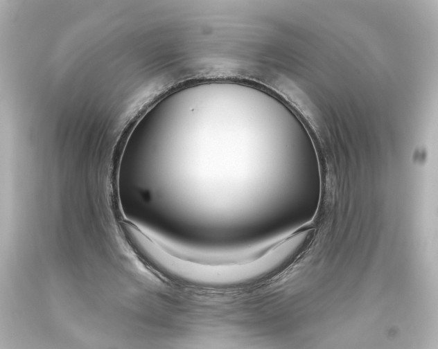 X0000093580485200711051121