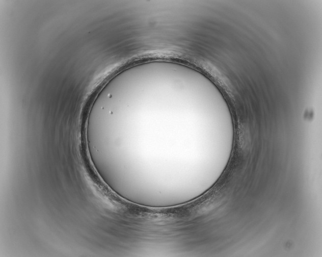 X0000093580486200711051121