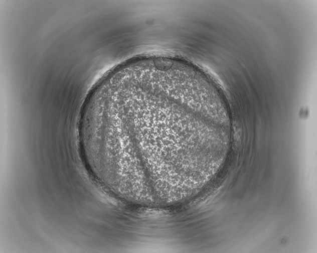 X0000093580487200711051120