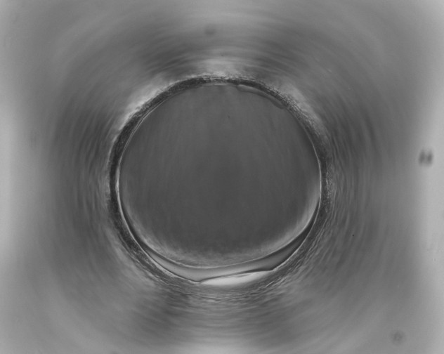 X0000093580488200711051120