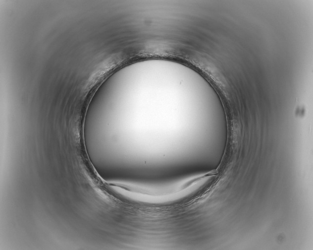 X0000093580489200711051120