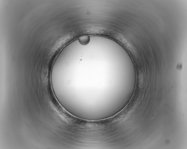 X0000093580490200711051120