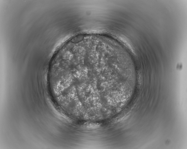 X0000093580491200711051120