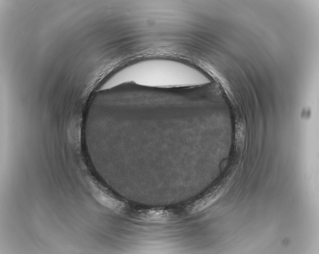 X0000093580493200711051120