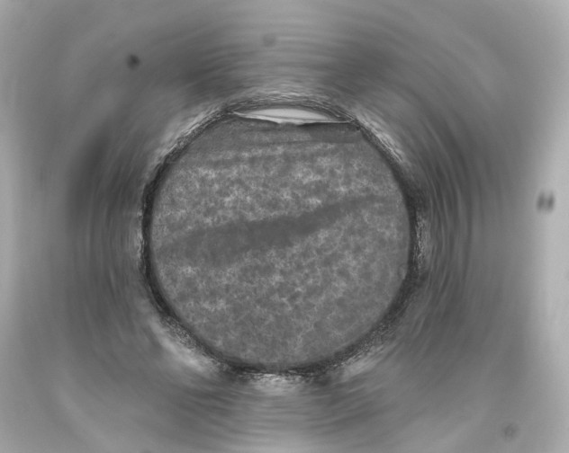 X0000093580494200711051120