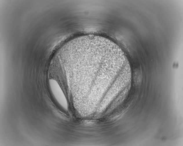 X0000093580495200711051120