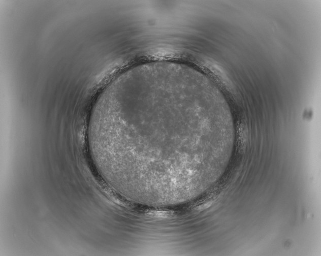 X0000093580499200711051120