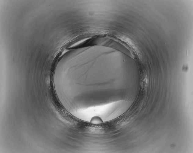 X0000093580500200711051120