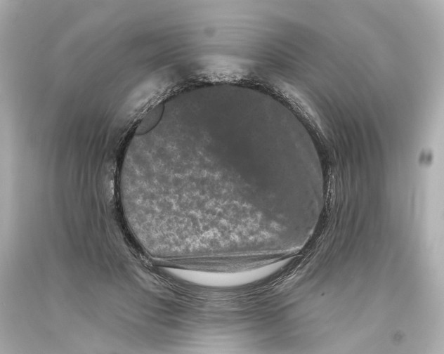 X0000093580501200711051120