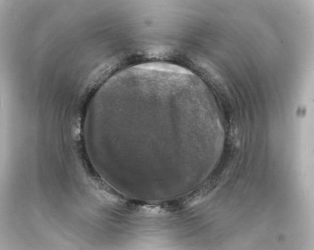 X0000093580502200711051120