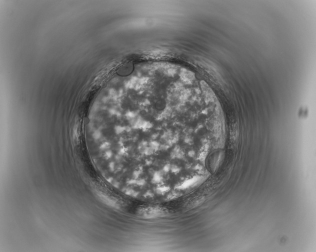 X0000093580503200711051120