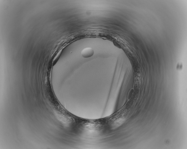 X0000093580504200711051120