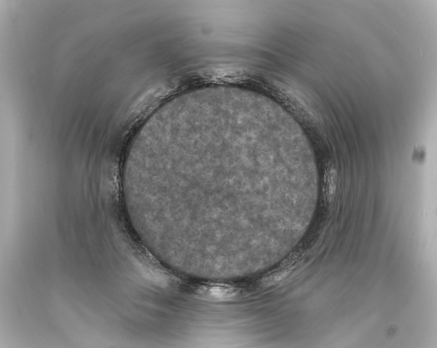 X0000093580506200711051120