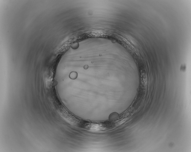 X0000093580507200711051120